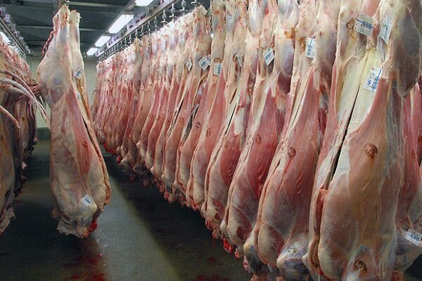 چشم انداز سرانه مصرف گوشت در آمریکا