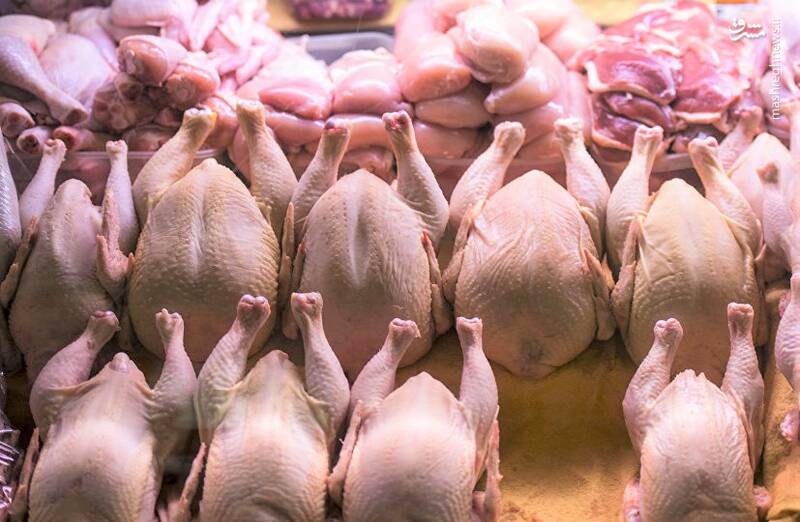 عرضه مرغ بالاتر از ۸۰ هزار تومان گرانفروشی است