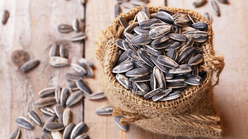 7 تا از نکات مهم برای راه اندازی مغازه تخمه فروشی