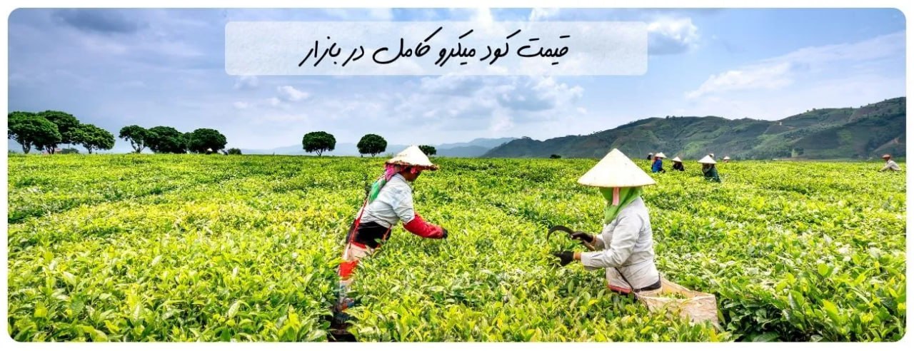 قیمت کود میکرو کامل در بازار