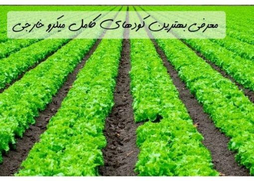 معرفی بهترین کودهای کامل میکرو خارجی