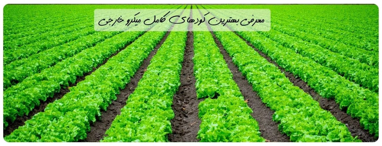 معرفی بهترین کودهای کامل میکرو خارجی