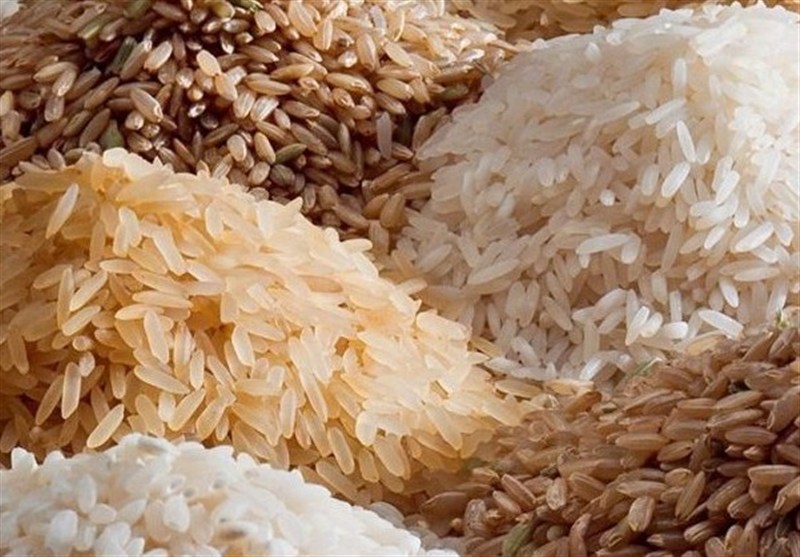 رونمایی از دو رقم برنج، که قبلاً رونمایی شده!