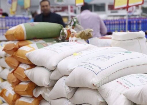 فعال بازار برنج: وزارت جهاد با آزمون و خطا بازار را نامتعادل کرد