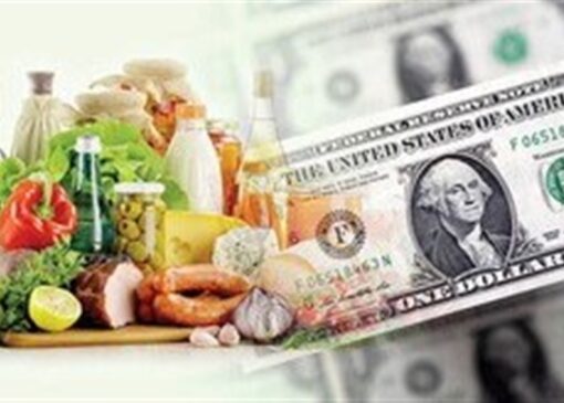 پشت‌پرده گرانی مواد غذایی با وجود تخصیص ارز ترجیحی