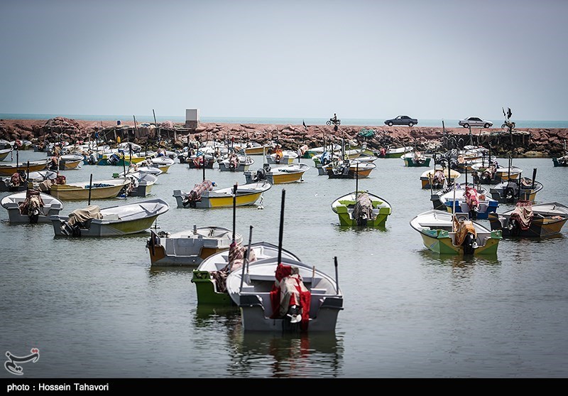 آغاز اجرای پروژههای بهسازی در 17 بندر ماهیگیری کشور آغاز اجرای پروژههای بهسازی در 17 بندر ماهیگیری کشور
