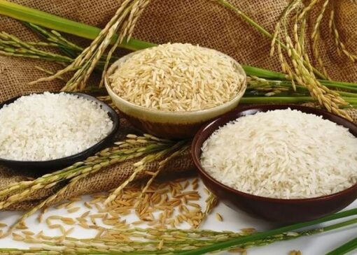 برنج پاکستانی و هندی با ارز آزاد به ترتیب کیلویی ۱۶۰ و ۱۳۵ هزار تومان عرضه می‌شود