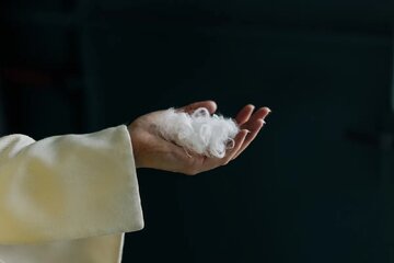 تبدیل پر مرغ به پارچه نفیس کشمیر تبدیل پر مرغ به پارچه نفیس کشمیر