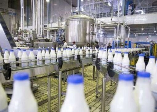 دوپینگ پگاه فارس با افزایش قیمت محصولات لبنی