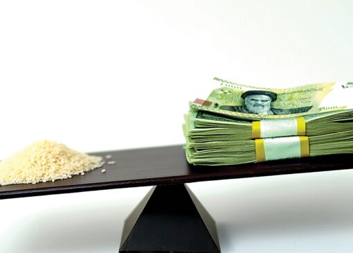 راه‌حل کنترل قیمت برنج صرفاً تخصیص یا حذف ارز ترجیحی نیست