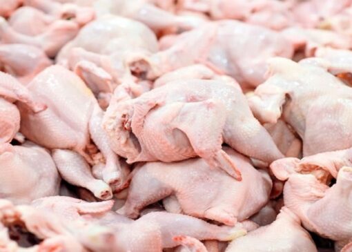 زیان گریبان‌گیر تولیدکنندگان مرغ / قیمت مرغ افزایش می‌یابد
