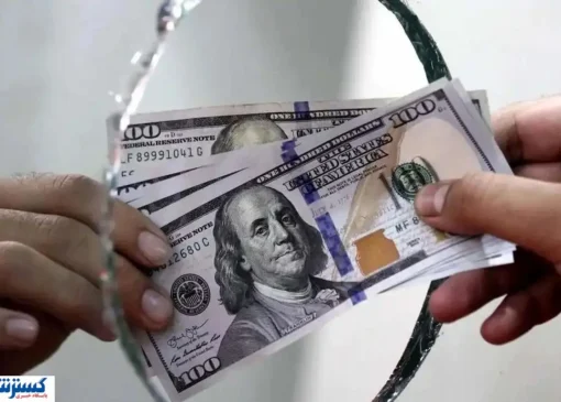 صعود قیمت دلار به سقوط برمی گردد؟ | بازار ارز پیش بینی شد