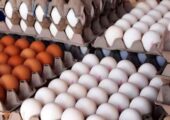 قیمت تخم مرغ امروز ۲۶ آذر ۱۴۰۴ / تخم مرغ دانه‌ای ۱۲ هزار شد