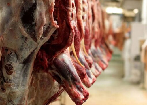 قیمت گوشت قرمز امروز ۱۶ آذر ۱۴۰۴ / ماهیچه گوساله چند؟