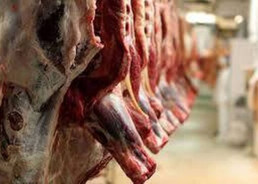 قیمت گوشت قرمز امروز ۱۸ آذر ۱۴۰۴ / گوشت چرخ‌کرده چند؟