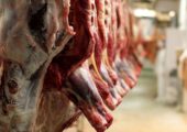قیمت گوشت قرمز امروز ۲۴ آذر ۱۴۰۴ / گوشت چرخ‌کرده چند؟