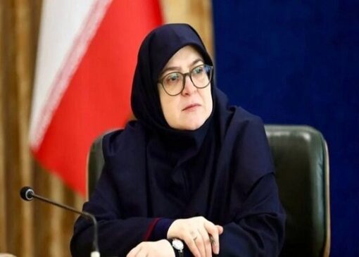 مهاجرانی: تثبیت قیمت‌ها اشتباهی بود که در دولت‌های قبل انجام شد