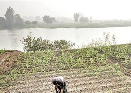 نقش تاریخی نیل در کشاورزی مصر و پیامدهای سدسازی