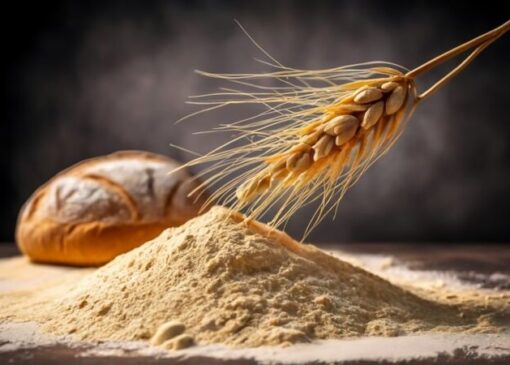 نقشه راه هوش مصنوعی برای صنعت آسیاب آرد