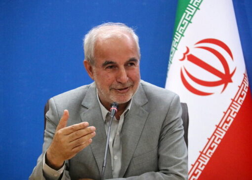 کوچکی‌نژاد: تقویت بودجه فرهنگی شرط توسعه پایدار و رفع آسیب‌های اجتماعی