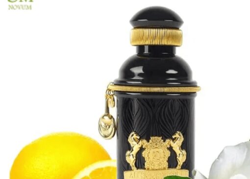 رمزگشایی از هویت پنهان؛ بررسی در نوام شاپ