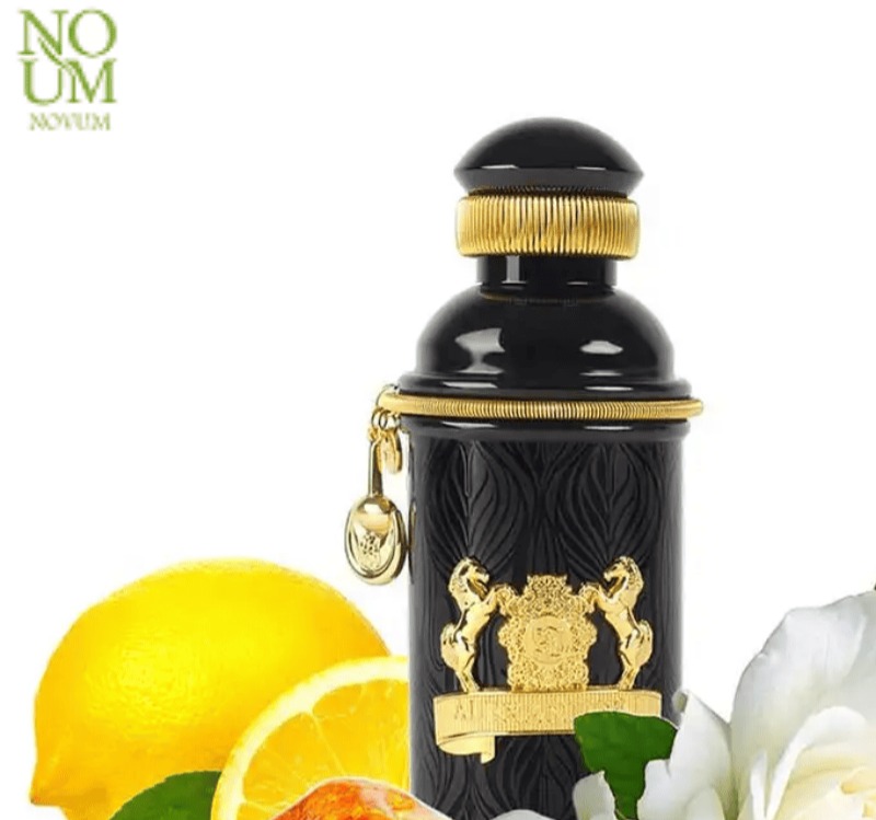 رمزگشایی از هویت پنهان؛ بررسی در نوام شاپ رمزگشایی از هویت پنهان؛ بررسی در نوام شاپ