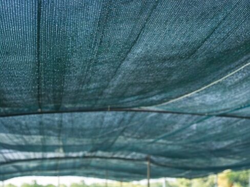 توری سایبان گلخانه