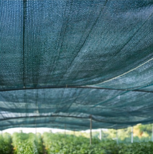 توری سایبان گلخانه ای و کیسه راشل؛ از مدیریت علمی تولید تا فروش حرفهای با طراحی کاتالوگ توری سایبان گلخانه