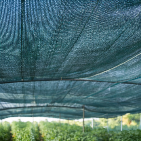 توری سایبان گلخانه ای و کیسه راشل؛ از مدیریت علمی تولید تا فروش حرفهای با طراحی کاتالوگ توری سایبان گلخانه