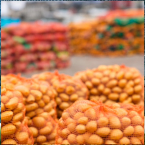 توری سایبان گلخانه ای و کیسه راشل؛ از مدیریت علمی تولید تا فروش حرفهای با طراحی کاتالوگ کیسه راشل