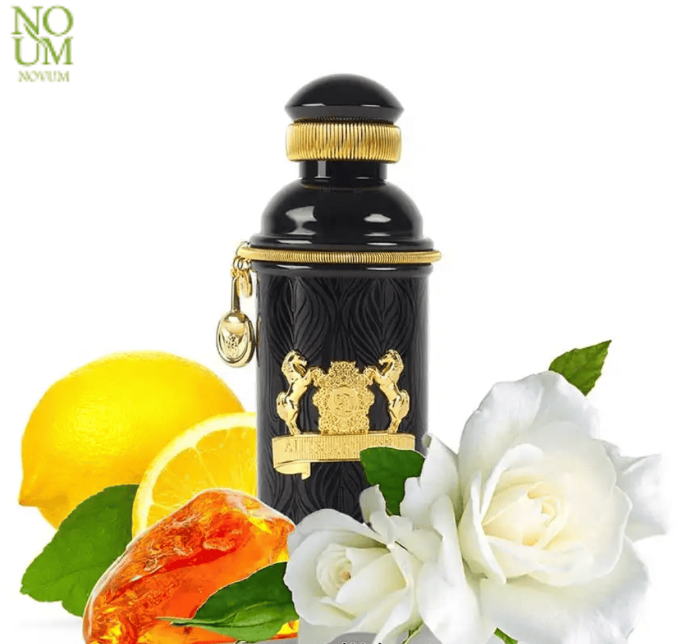 رمزگشایی از هویت پنهان؛ بررسی در نوام شاپ رمزگشایی از هویت پنهان؛ بررسی در نوام شاپ