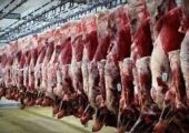 واردات گوشت به صورت قبض انباری؛ نظارت شرعی و بهداشتی تغییری نکرد