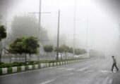گرمای ۵۰ درجه و رطوبت ۱۰۰ درصدی در استان بوشهر؛ وضعیت نارنجی در شهرهای ساحلی