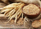 استرالیا در صدر صادرات جهانی جو؛ ایران در میان کشورهای دارای کسری تجاری