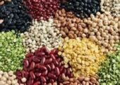 ثبت سفارش حبوبات باز شد