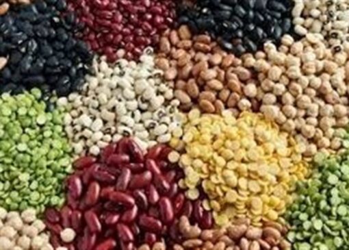 ثبت سفارش حبوبات باز شد