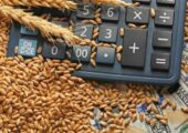 خرید گندم توسط دلالان تا ۶۰ هزار تومان در مناطق مرزی