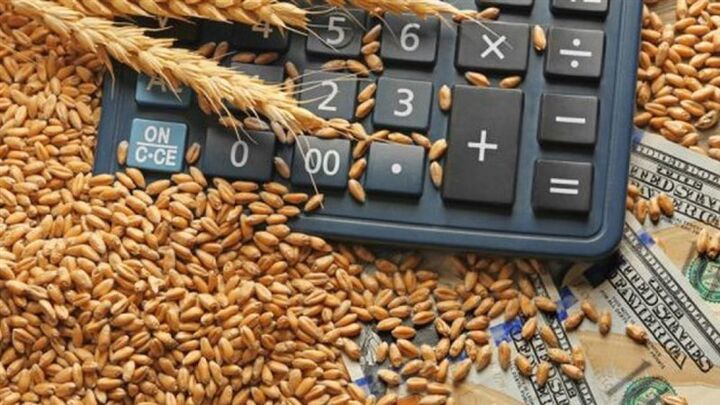 خرید گندم توسط دلالان تا ۶۰ هزار تومان در مناطق مرزی خرید گندم توسط دلالان تا ۶۰ هزار تومان در مناطق مرزی