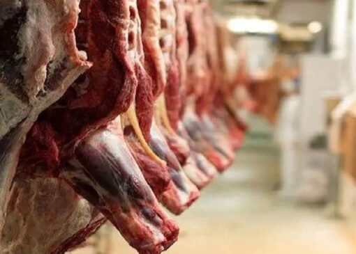 واردات گوشت قرمز با وجود محاصره تنگه هرمز ادامه دارد
