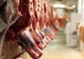واردات گوشت قرمز با وجود محدودیت های تنگه هرمز ادامه دارد