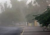 باد و گرد و خاک در تهران؛ کاهش دما از شنبه