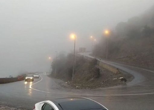 بازگشایی جاده چالوس؛ ترافیک سنگین در هراز